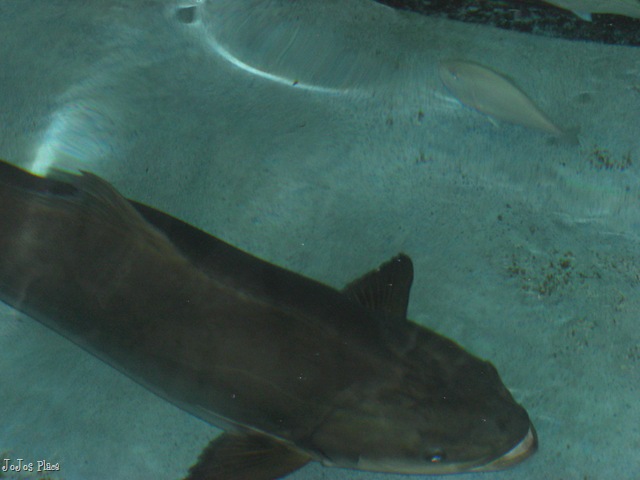 [October 2009 071[7].jpg]