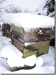 beehive in snow