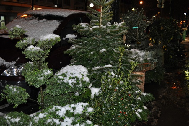 [DSC_1172[5].jpg]
