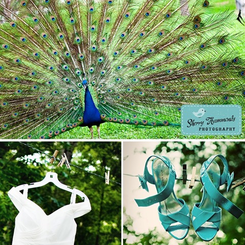 [jb1sherryhammondsphotography6.jpg]