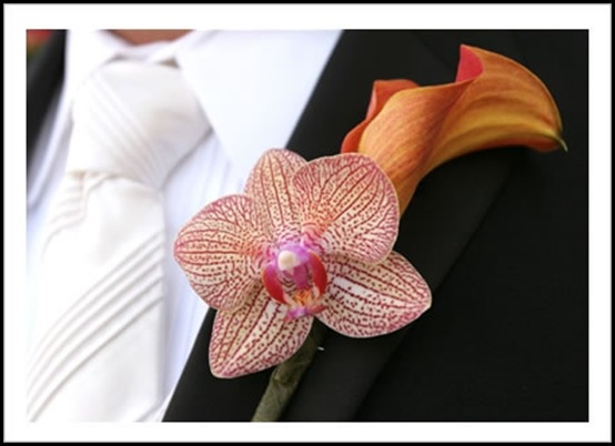 colleen_rosenthal_prest1 camilla flowers