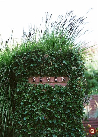 [lucky_number_seven_350930qweddings6.jpg]