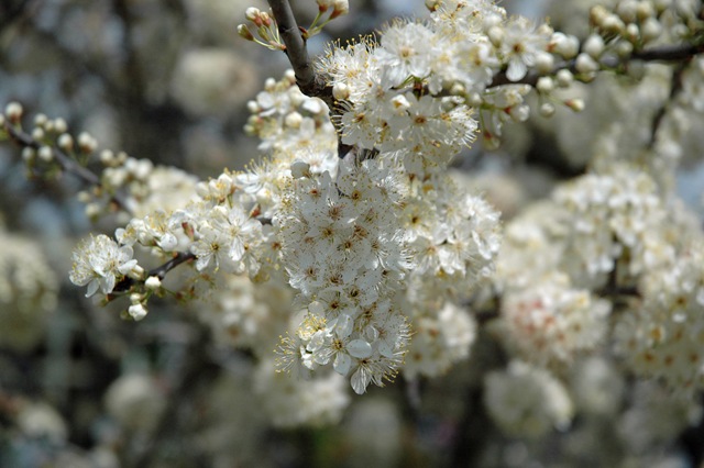 [20100315009edit6.jpg]