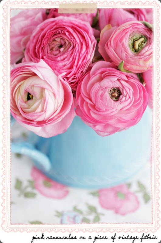 tumblr_kyz7dkJGo91qai0r2o1_500 its mary ruffle tumblr_kyz7dkJGo91qai0r2o1_500 its mary ruffle