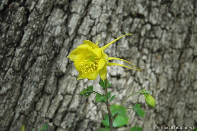 [Picture013edit18.jpg]