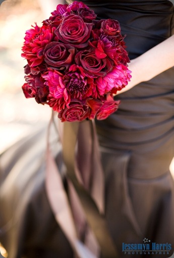 alysbri1009181 jessamyn harris photographer