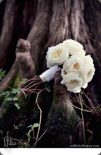 ACF6F8 millie holloman