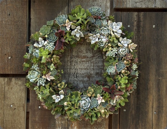wreath flora grubbs