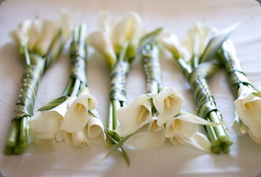 w8381440022 julie mikos photo