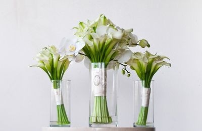 [yvonnedesign15.jpg]