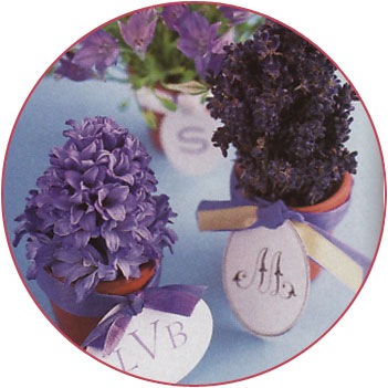 [img_press_bgpurplerootstockandquade[1].jpg]
