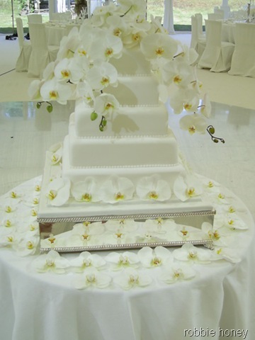 [wed_white_cake_lrobbiehoney[1].jpg]