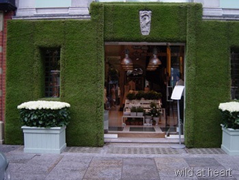 [BamfordsChelsea_lgwildatheartshopcov[1][1].jpg]