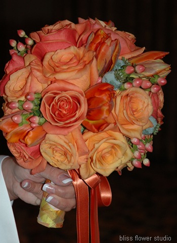 [DSC_0058 crop.jpg]