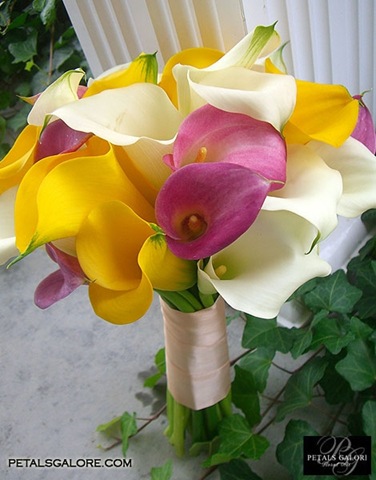 [bouquet215lgpetalsgalore5.jpg]