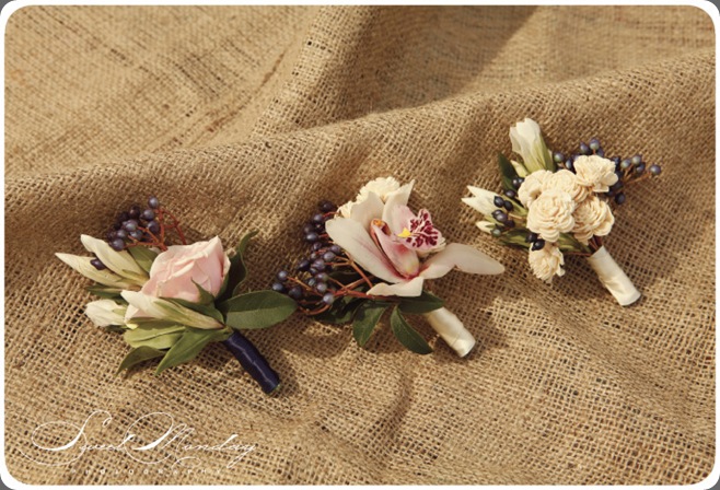 SM_blogtemplate_horizontal.indd