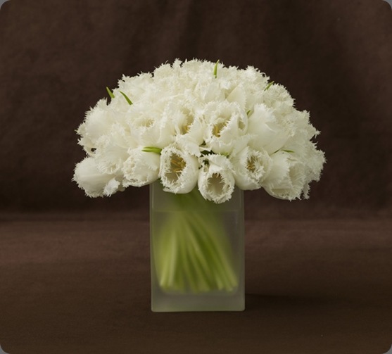 Pure_3_LL belle fleur