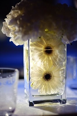 [05FrancesJK_ISESWEDDING2009bellafior.jpg]
