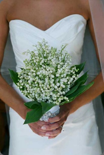 12_lily-copy louloudi