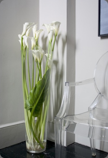 Contracts-shots-041 wild at heart nikki tibbles