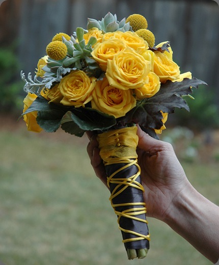 3386927292_d90998cfe6 branching out events