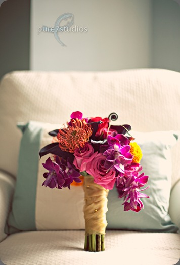 wm231 pure 7 studios