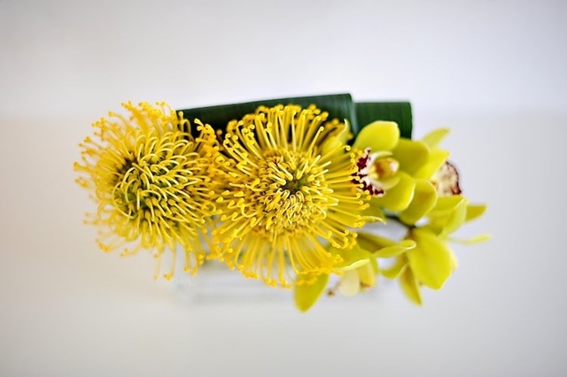 [vdaypopup24JLDesigns5.jpg]