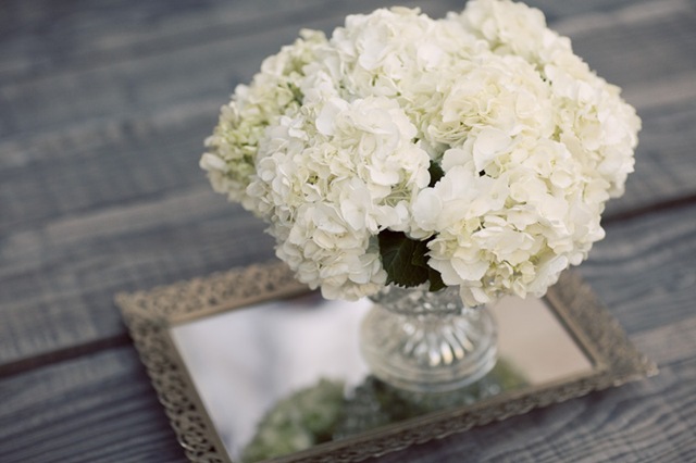 [joannabrian34JLDesigns5.jpg]