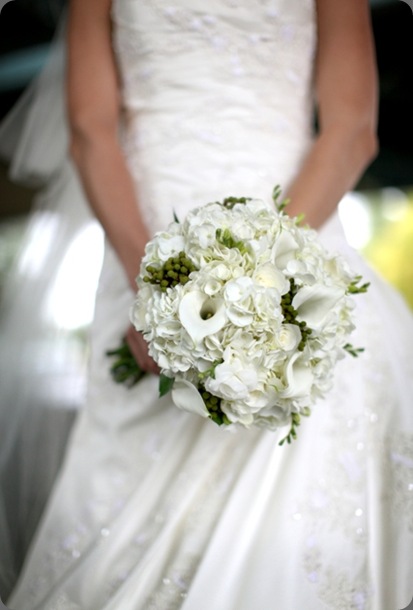 6a010535ded4be970c0133f2b121f3970b-800wi just bloomed