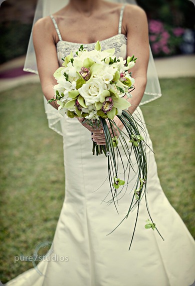 wm196 pure 7 studios