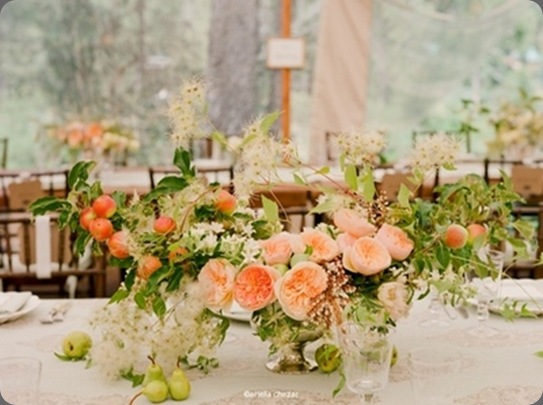 tumblr_l3uw1msKMh1qzlriyo1_400 tiny white daisies