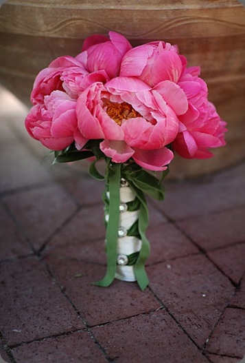 JasmineStarWorkshop0045 heavenly blooms