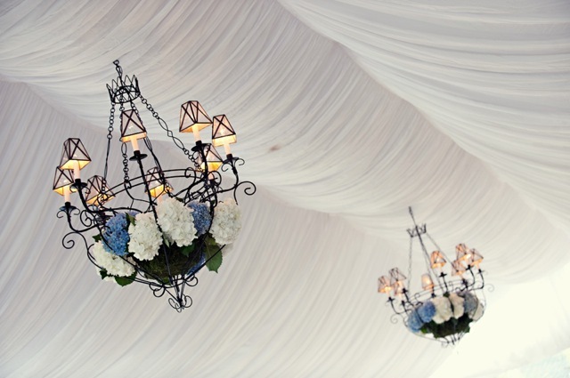 [0809101kimfisherdesigns6.jpg]