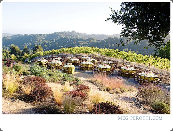 55AngelaGeoffMegPerotti meg perotti