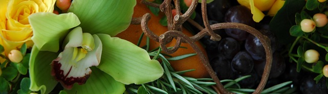 [DSC_0035cropped6.jpg]