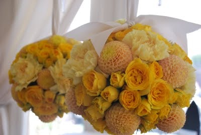 [Picture798EadamsDesigns6.jpg]
