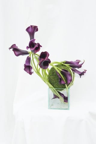 [restroombeautifulblooms5.jpg]