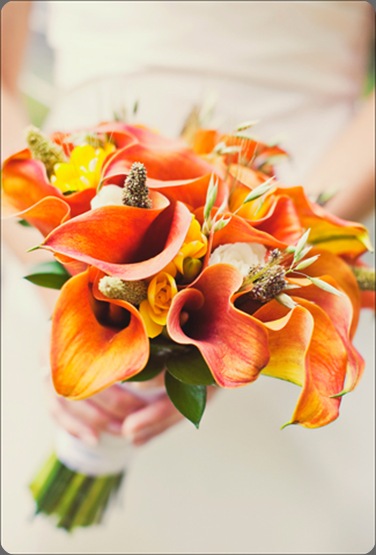 ACF732 our labor of love by heidid