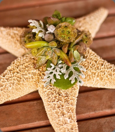 starfish_ringbearer_pillow-884x1024 botanica floral designs