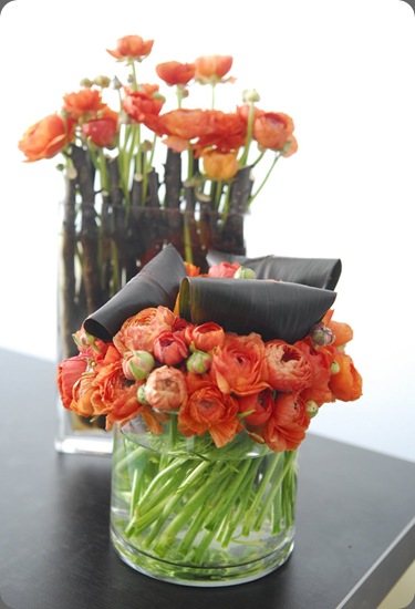 the daily petal7