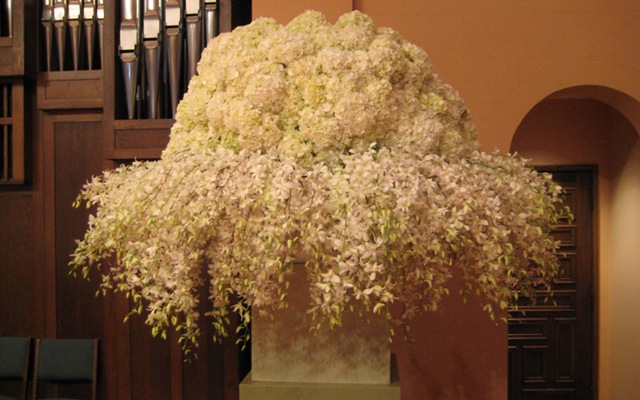 [slide3davidkurio5.jpg]