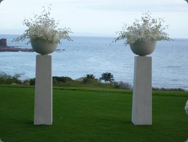 anny heid flowers