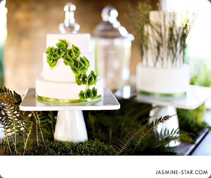 sweet-saucy-j-star jasmine star grace ormonde