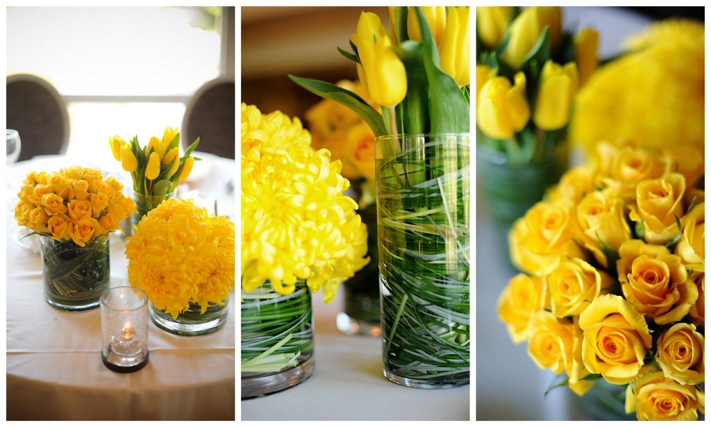 [the-daily-petal4.jpg]