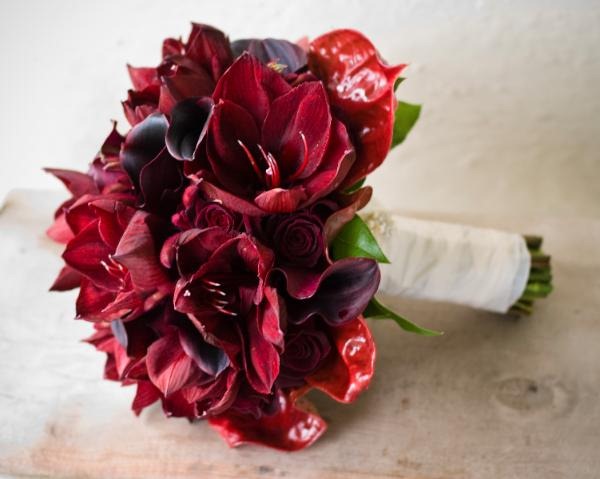 [Black-Bacarra-roses-burgundy-amaryll[1].jpg]