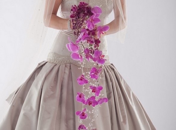 [freesia-dallas6.jpg]