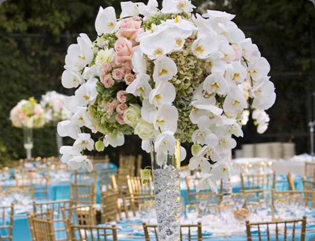 14 (1) sonia events and jules bianchi photo 14 (1) sonia events and jules bianchi photo