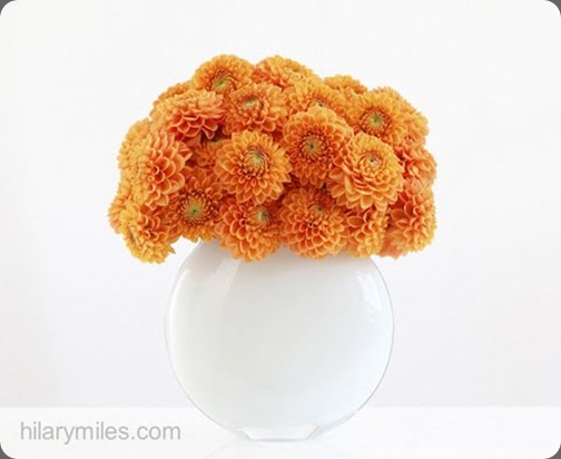 hilary miles flowers14