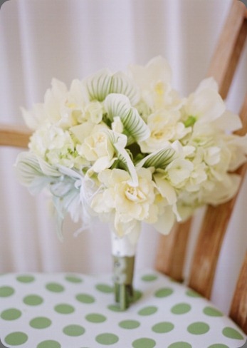 msphotocabo-27-c8-55ec2b sasha souza