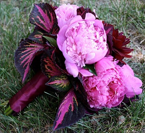 IMG_0086 bella fiori